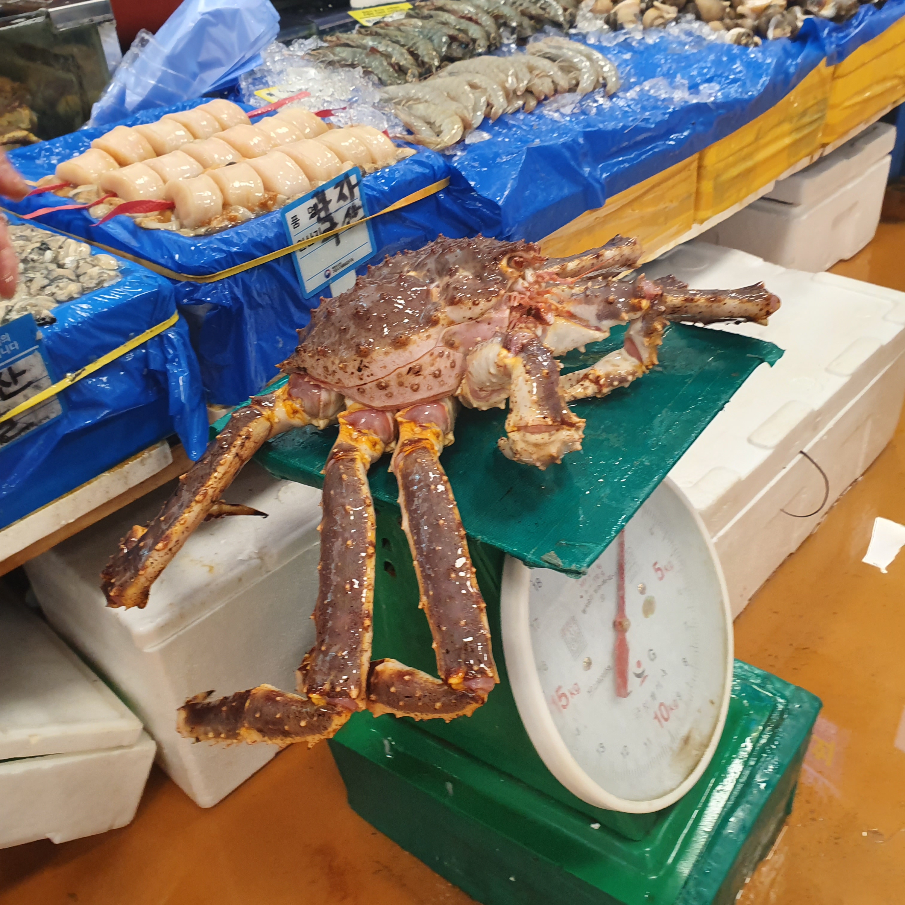 도매상회