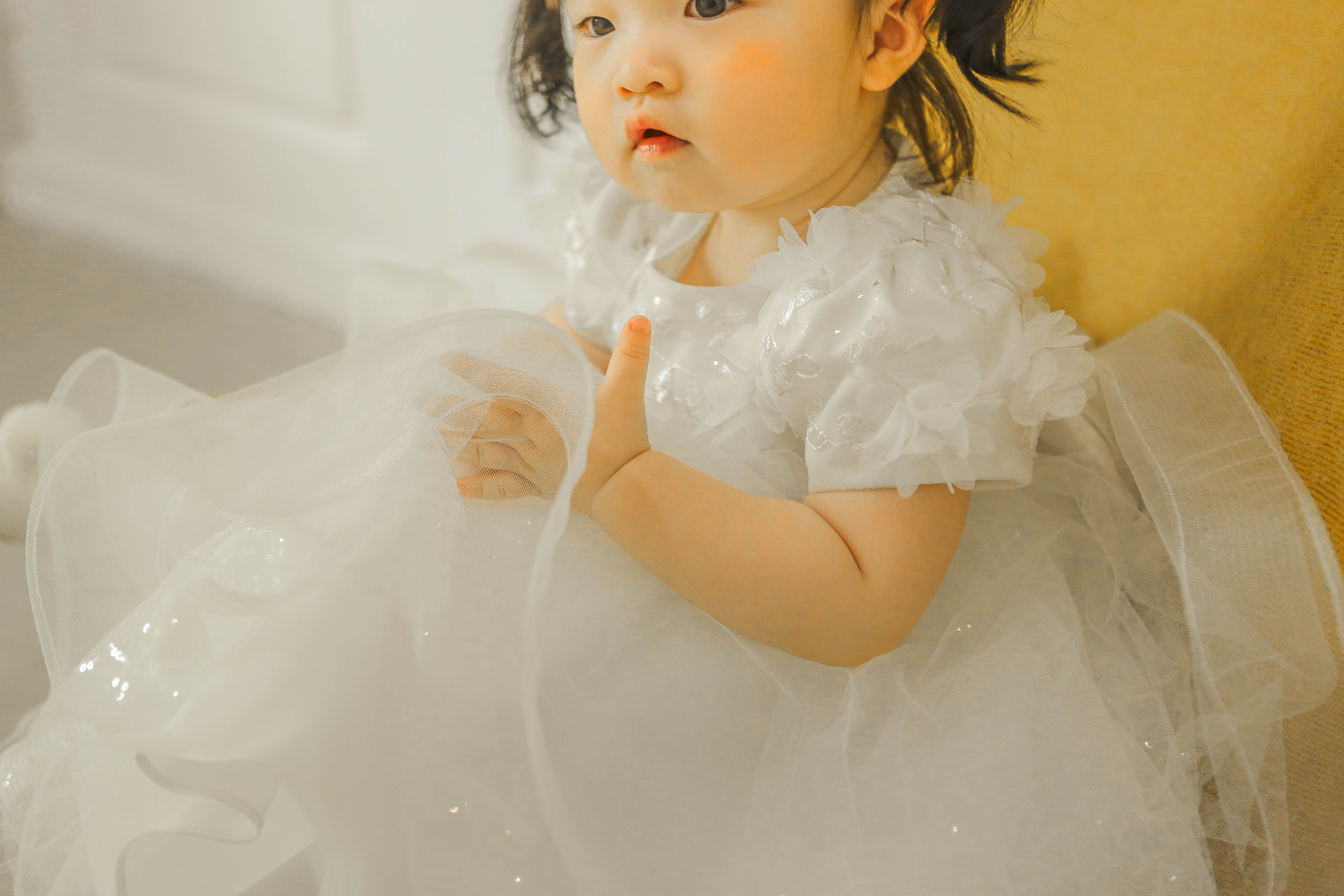 디자인바이치즈