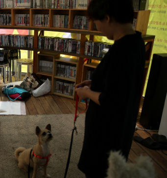 동물행동심리연구소 폴랑폴랑 대표 이미지