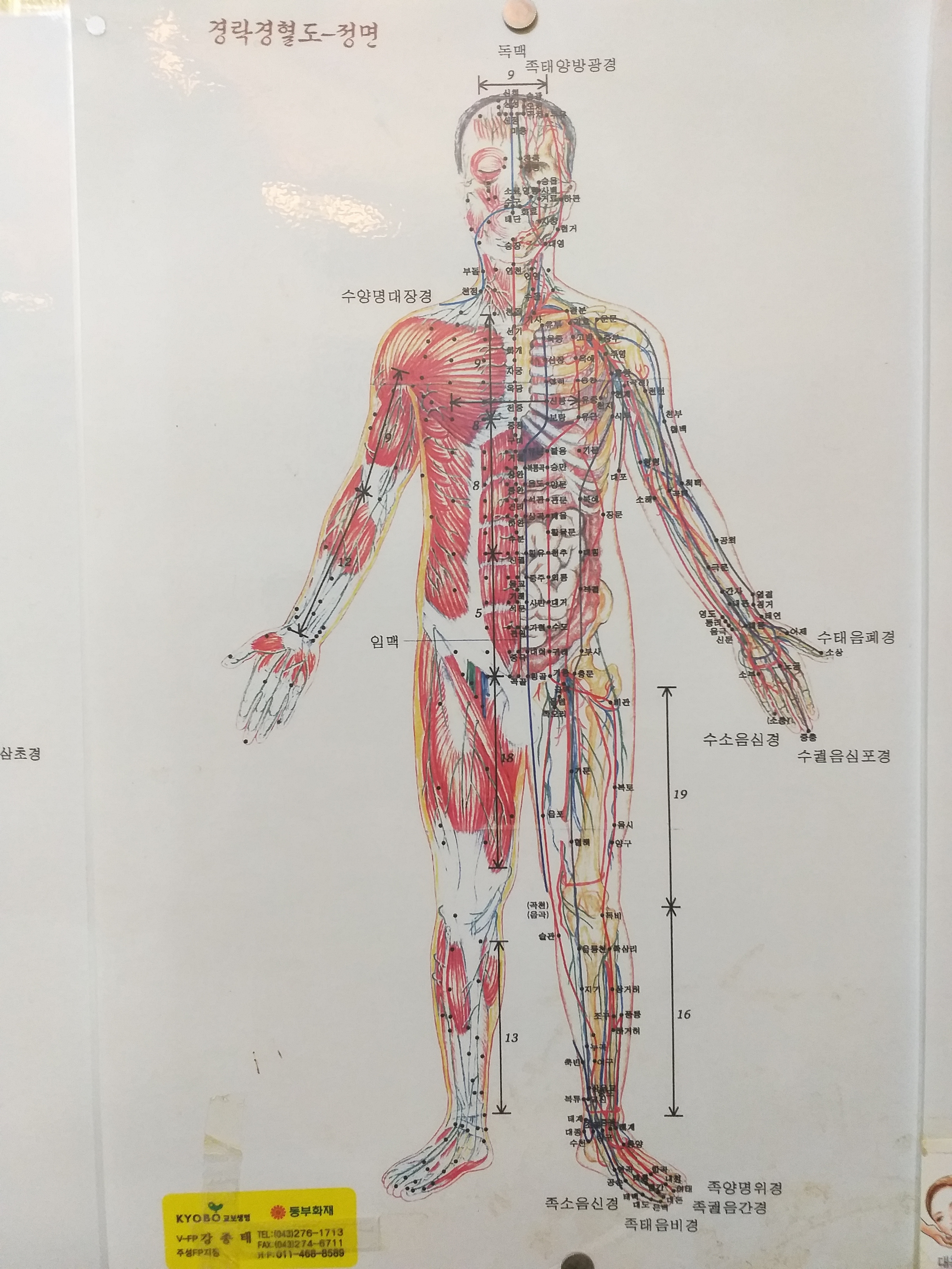 뷰티슬림피부관리