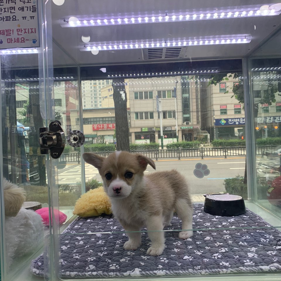 이미지