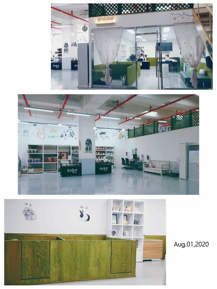 애니멀케어 대표 이미지