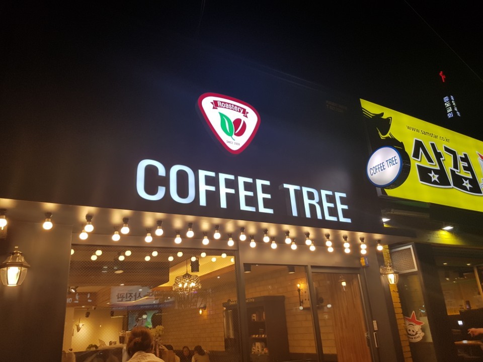 커피트리