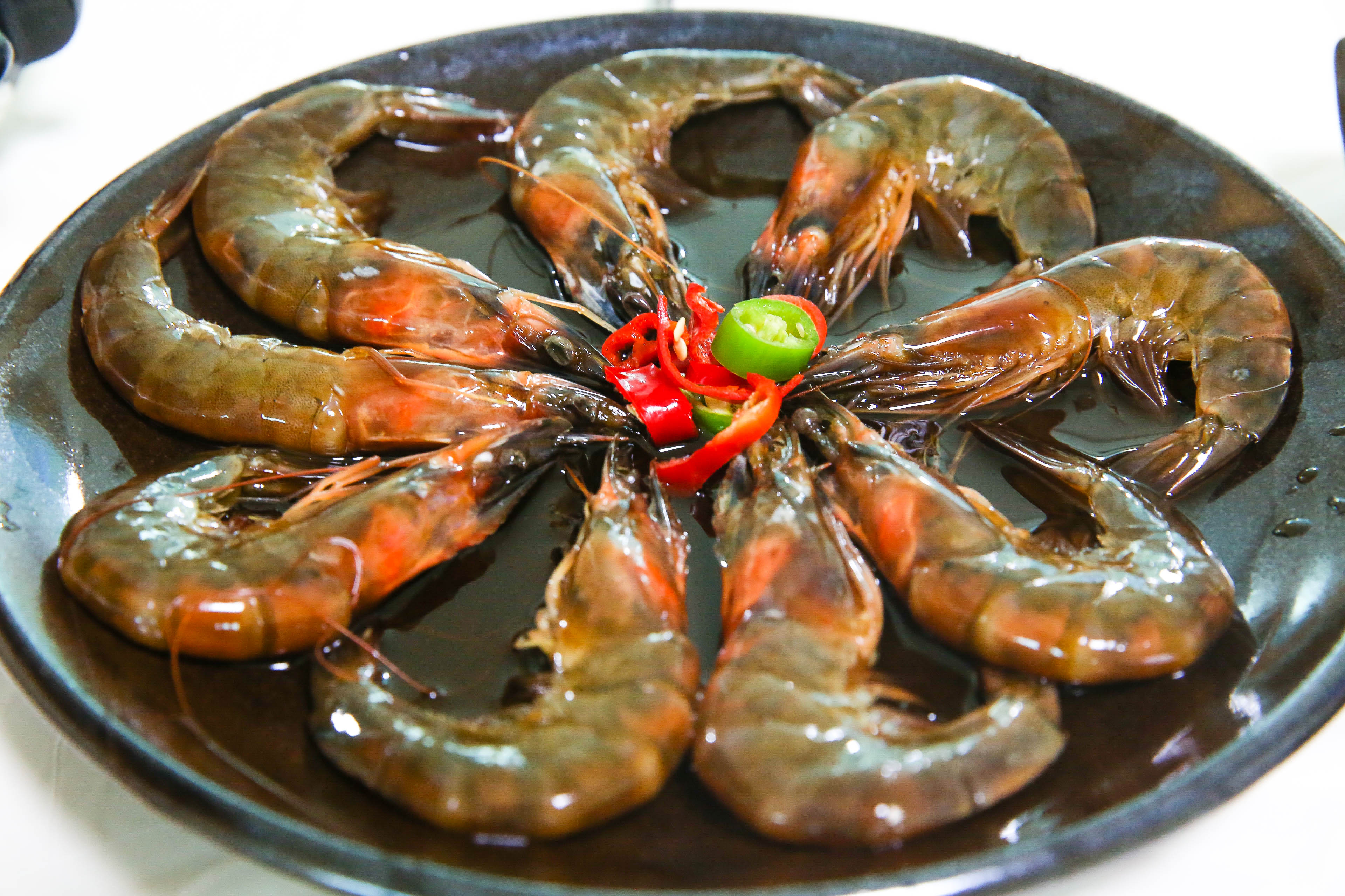 안면도안흥꽃게장 충청 애견맛집