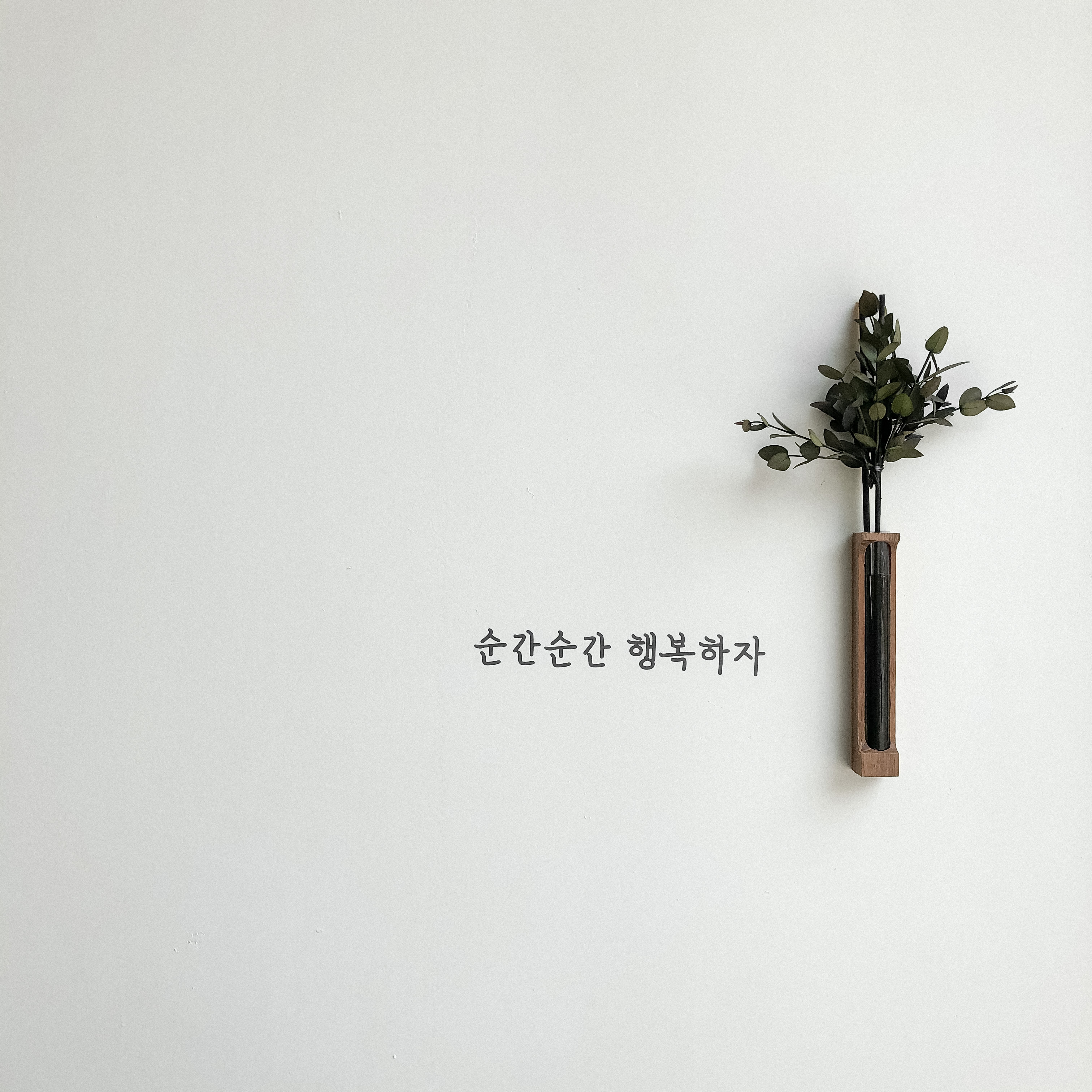 디어마이스냅
