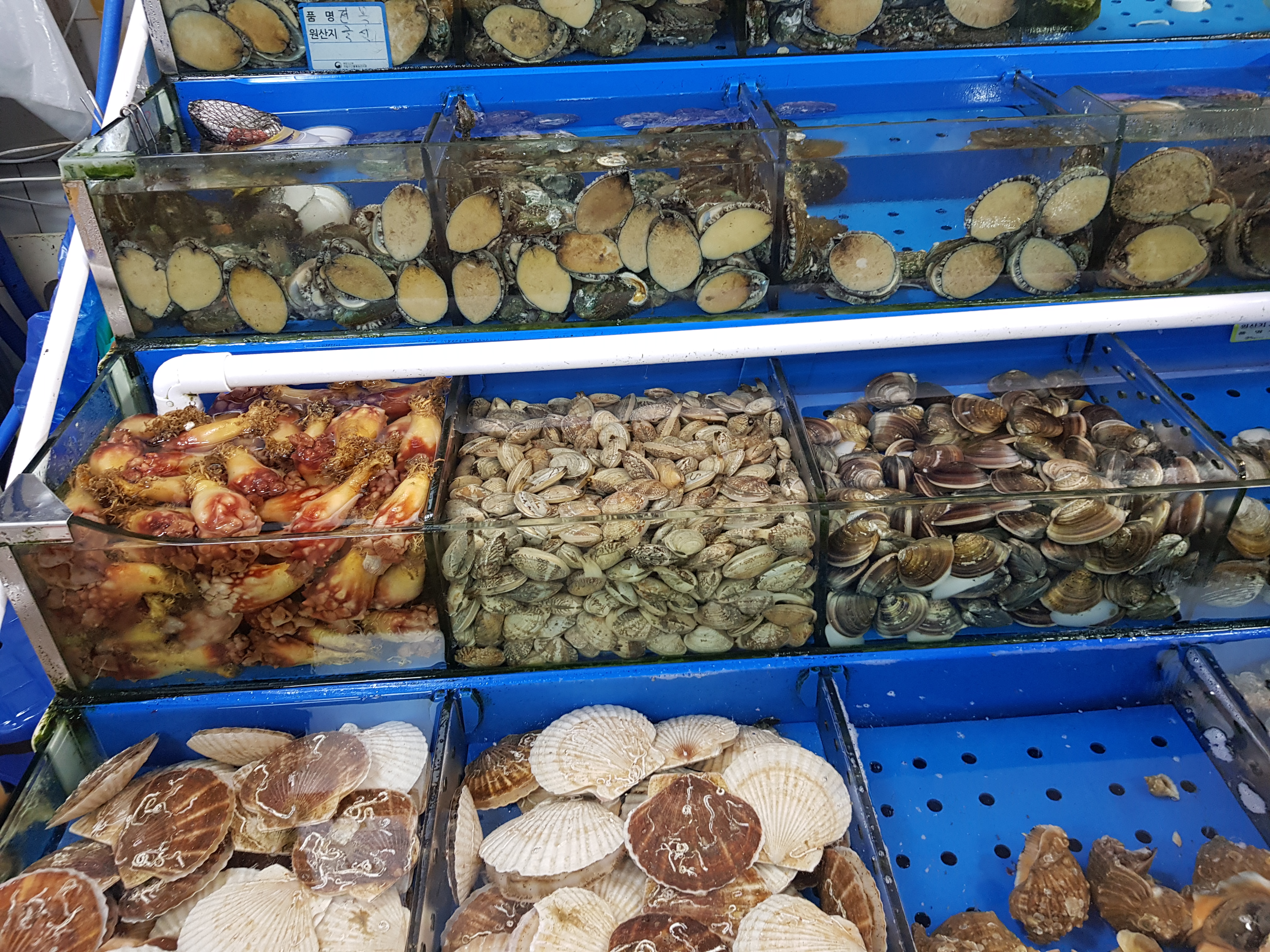 노량진수산시장 전라도 대게킹크랩전문점