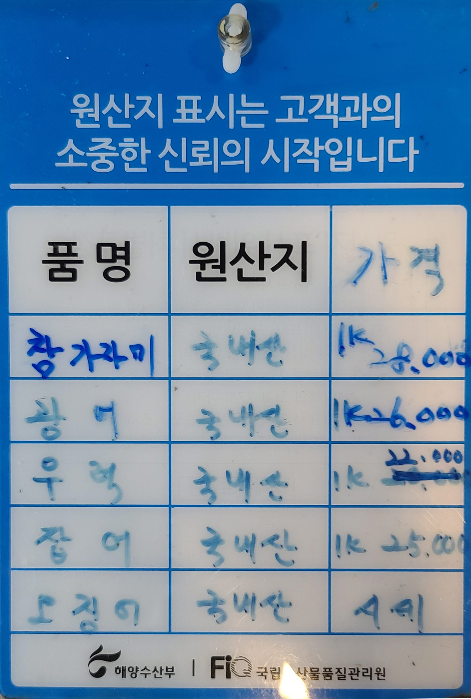 용궁속회과메기