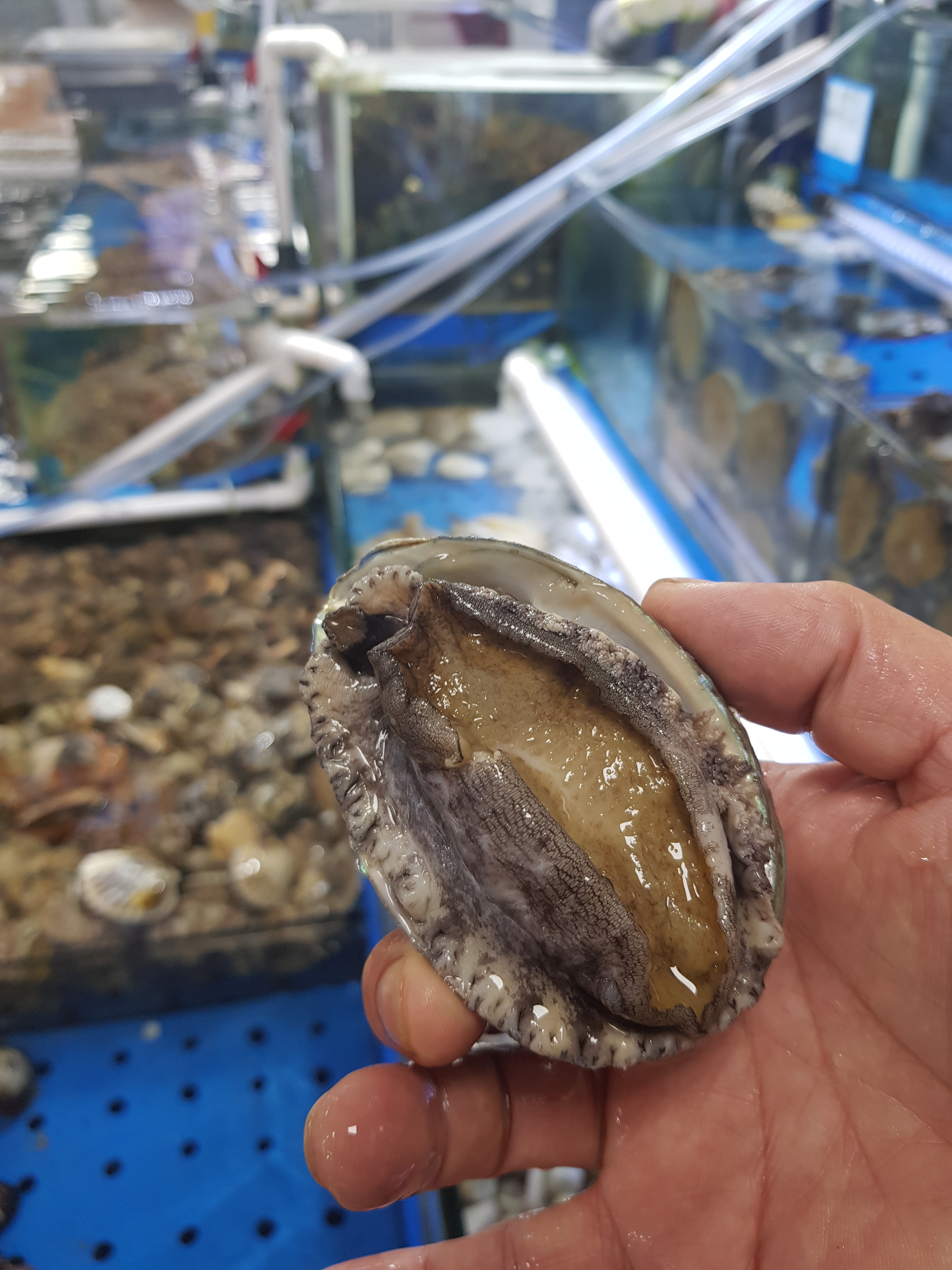 노량진수산시장 전라도 대게킹크랩전문점