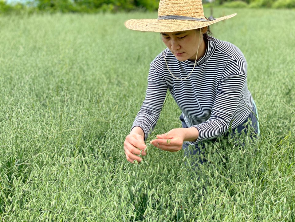 농업회사법인포항노다지마을