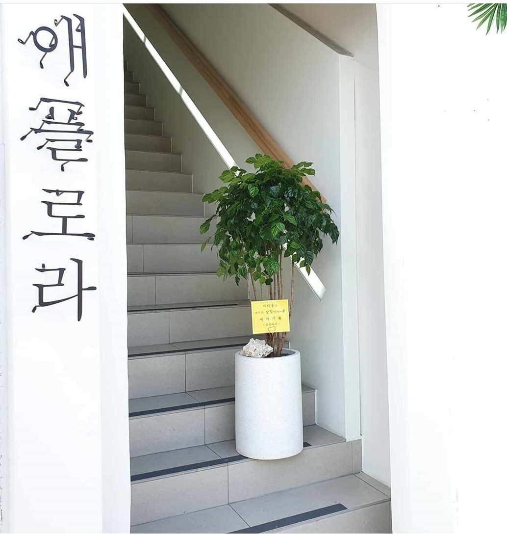 애플로라