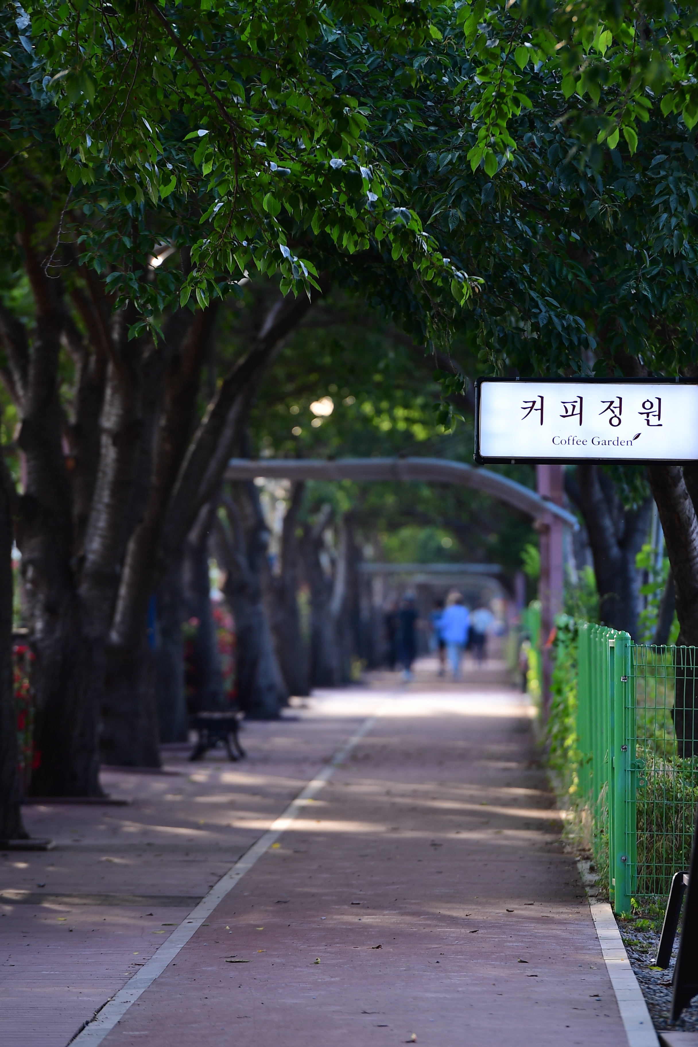 커피정원