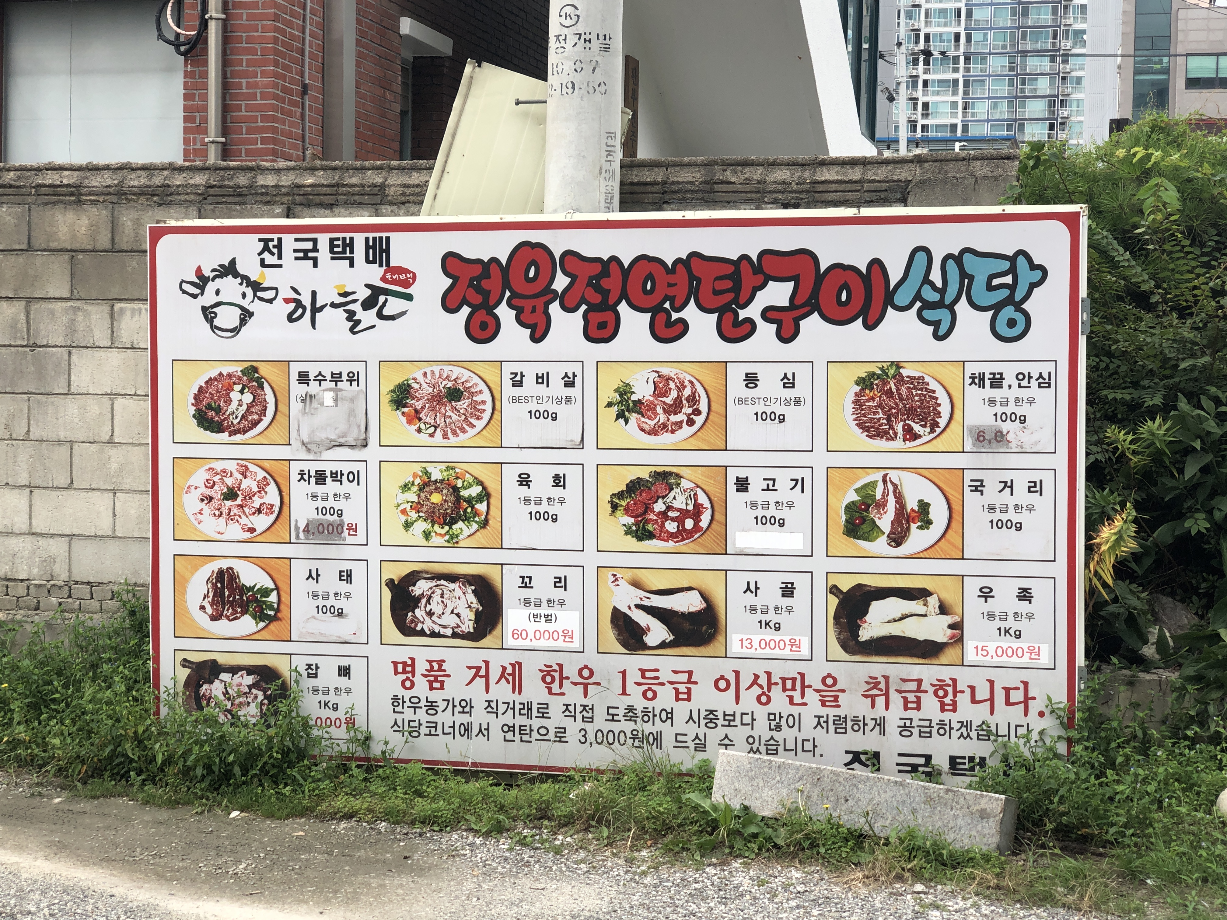 태백하늘소