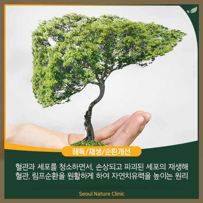 서울자연의원