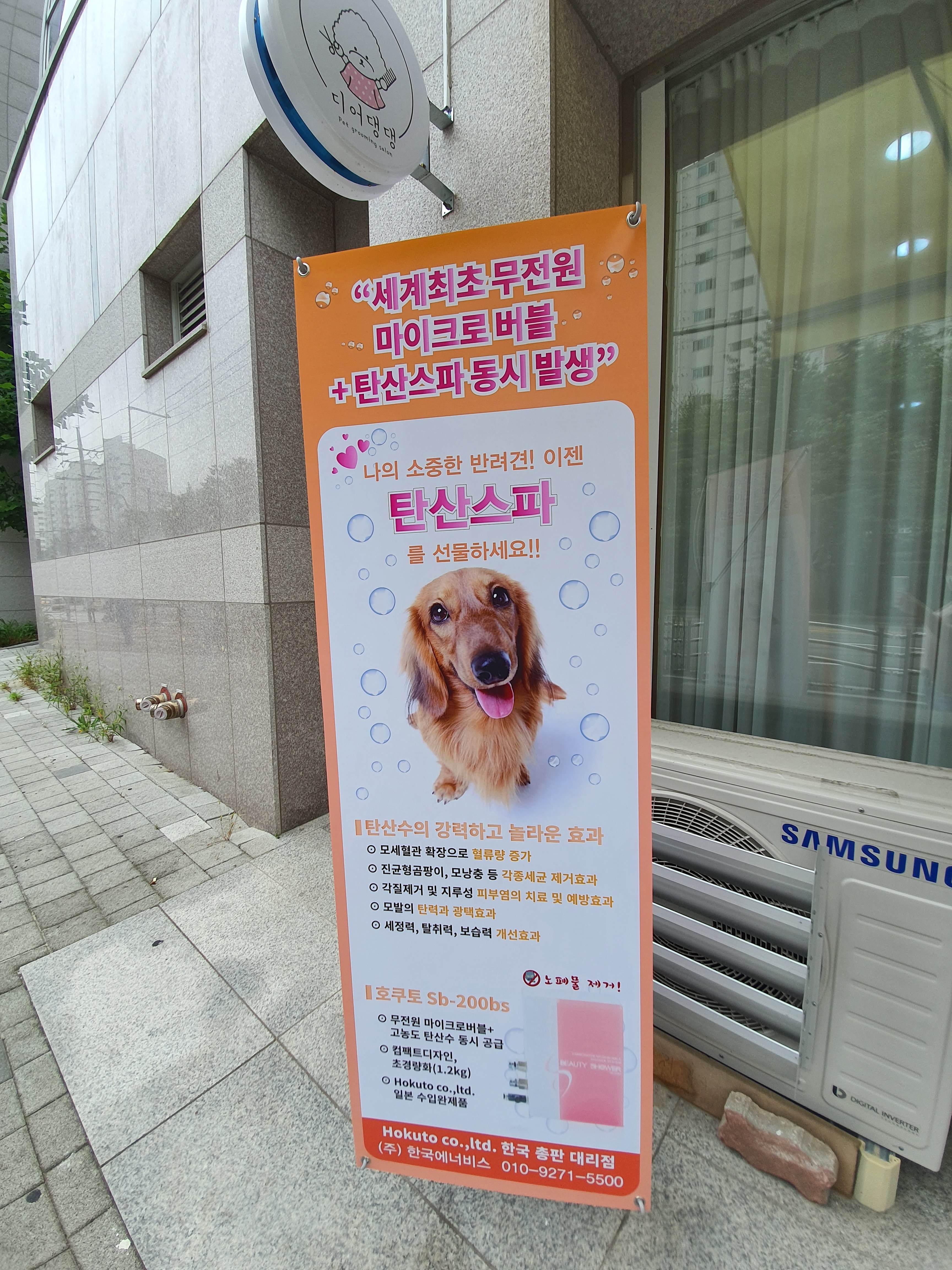 디어댕댕