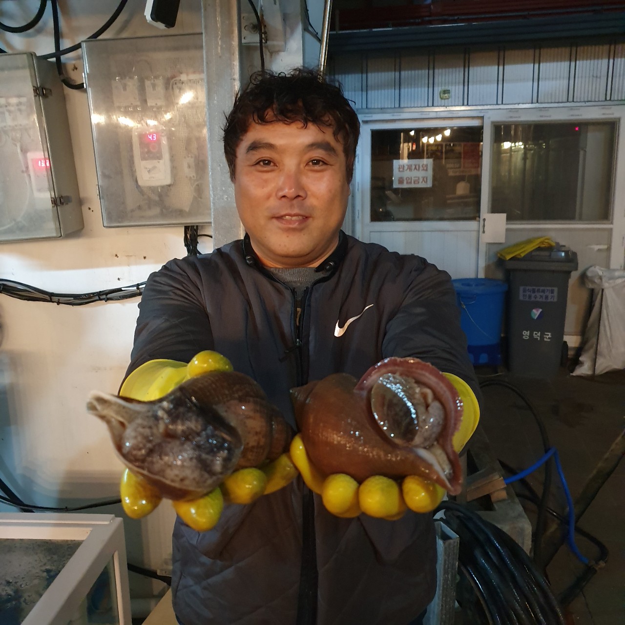 장신호대게