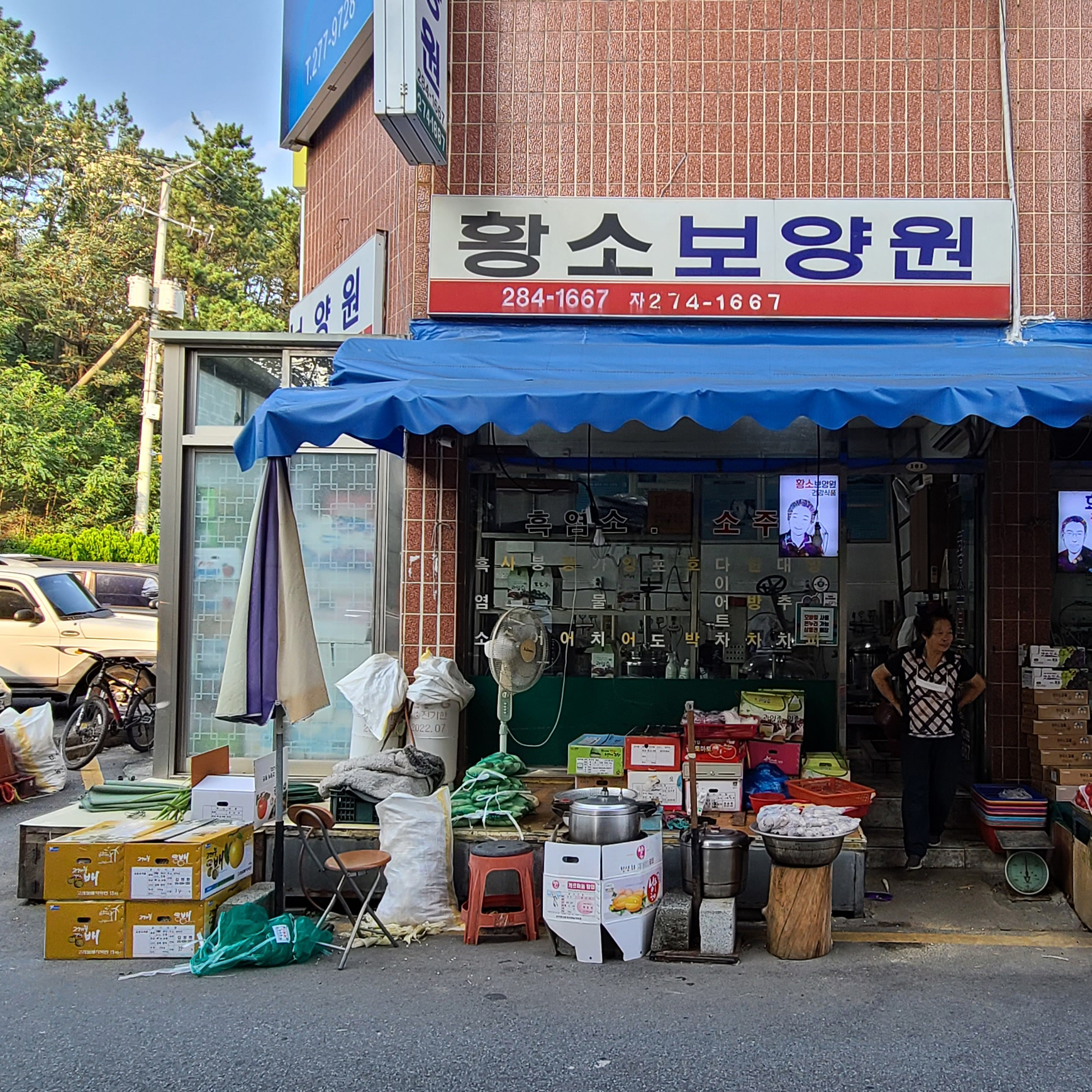 황소보양원