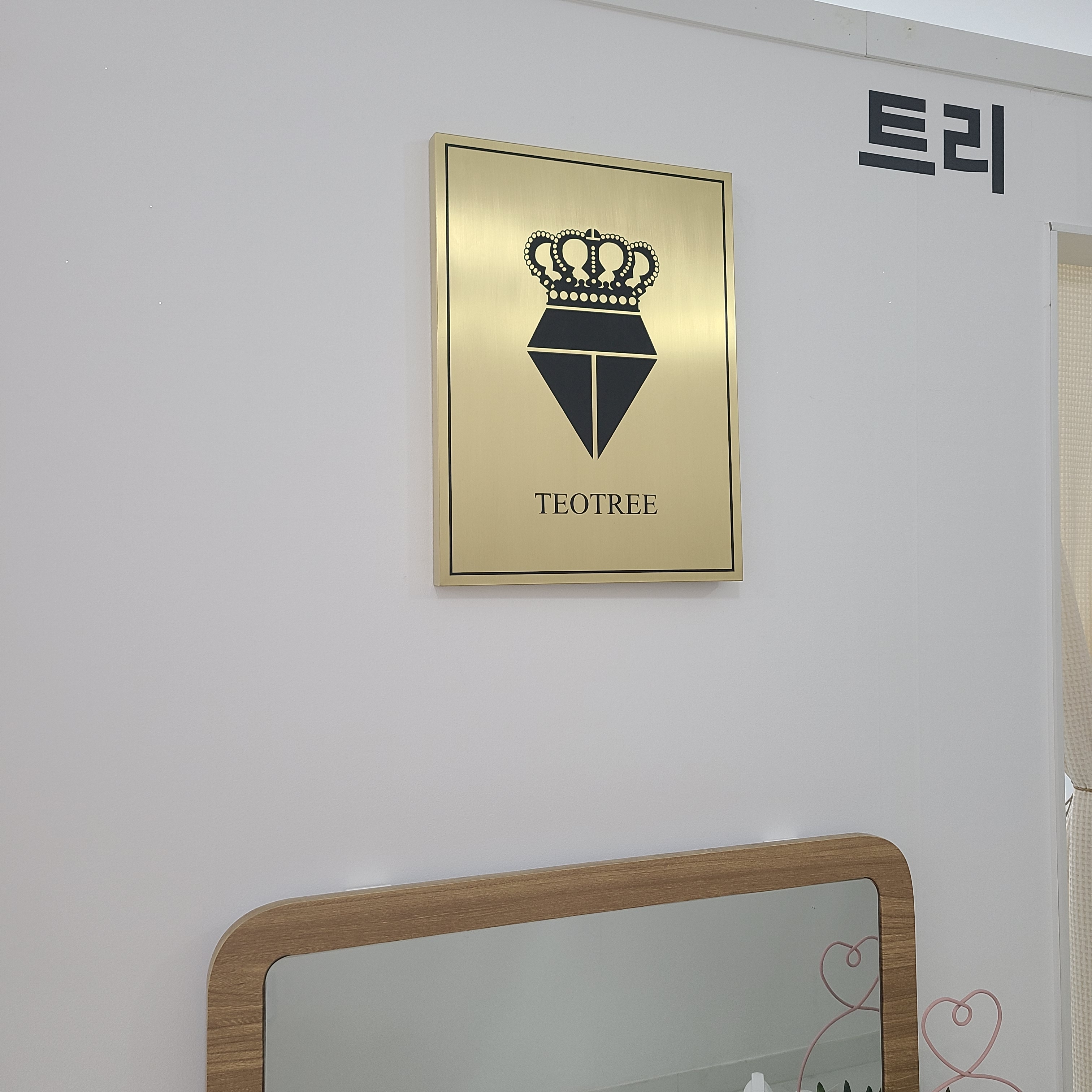 테오트리아카데미