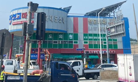 완도장보고마트