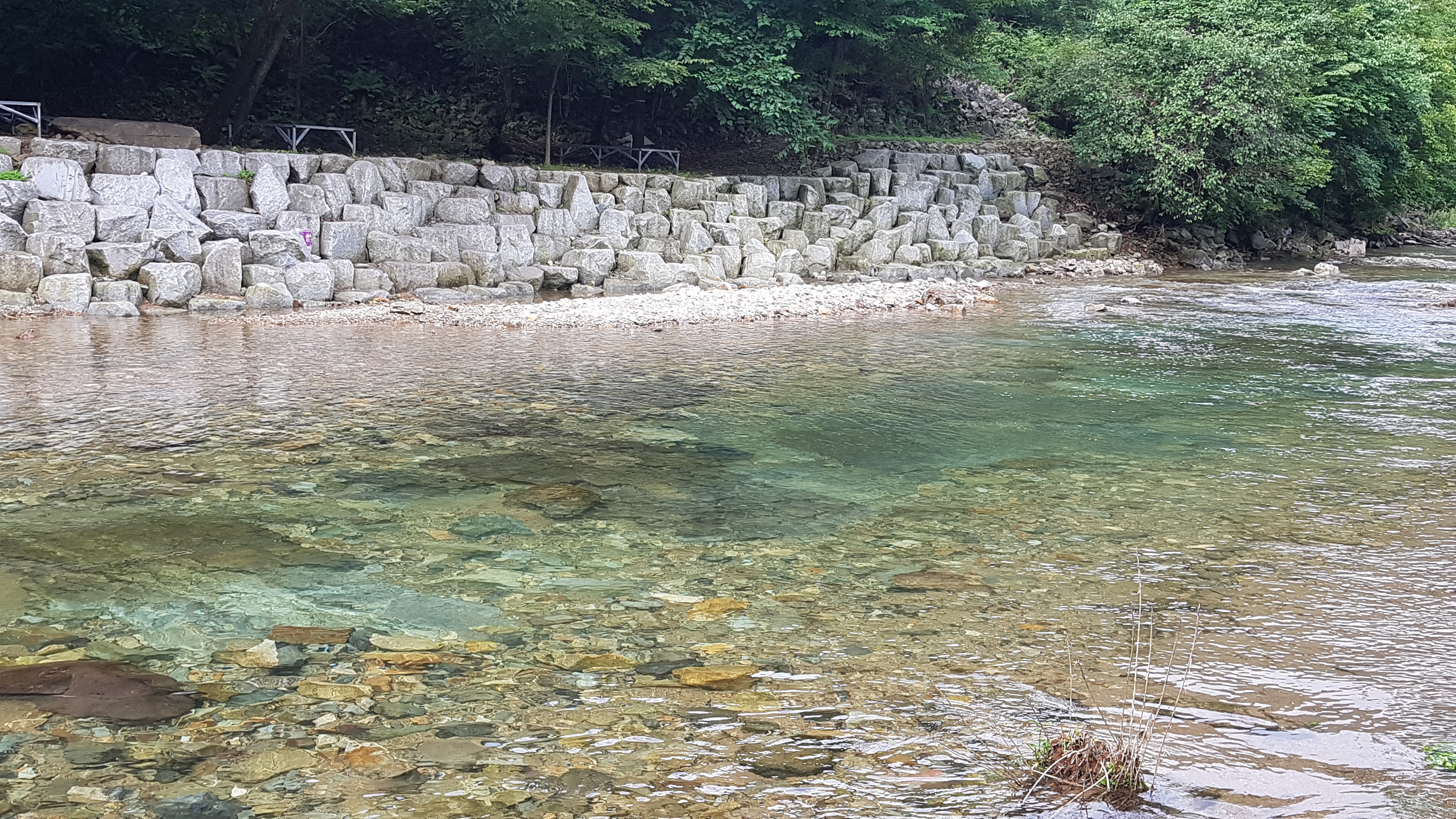 숲 스토리펜션