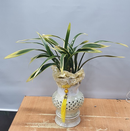 꽃과케익