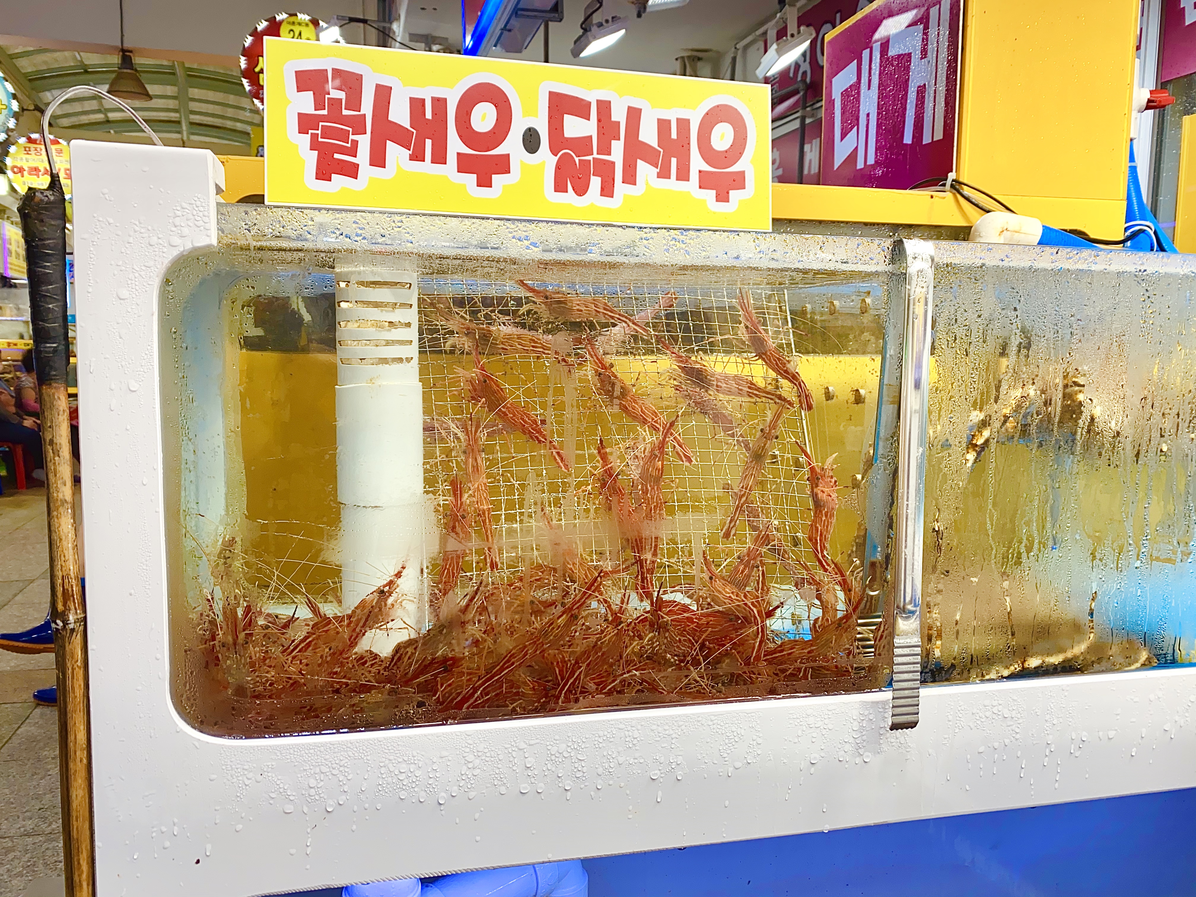 충청도 미숙이네