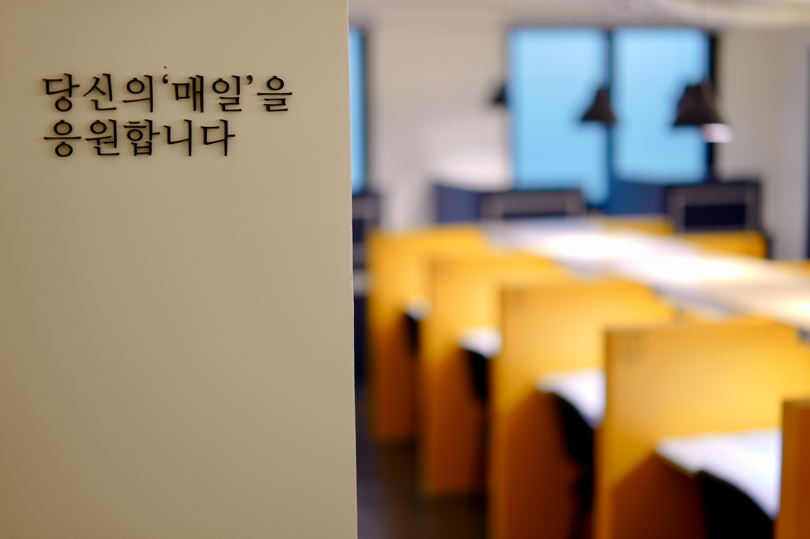 업체사진