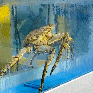 충청도 미숙이네