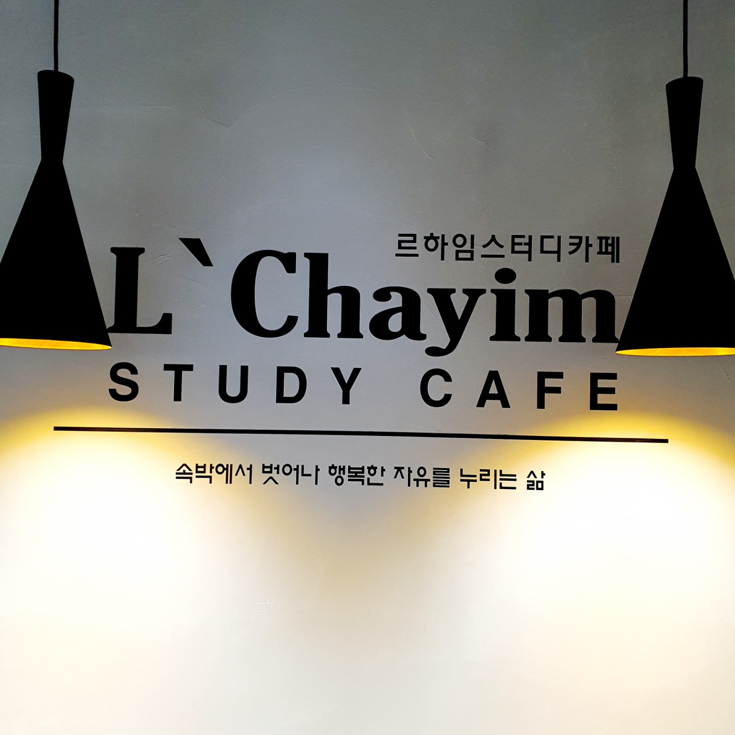 업체사진