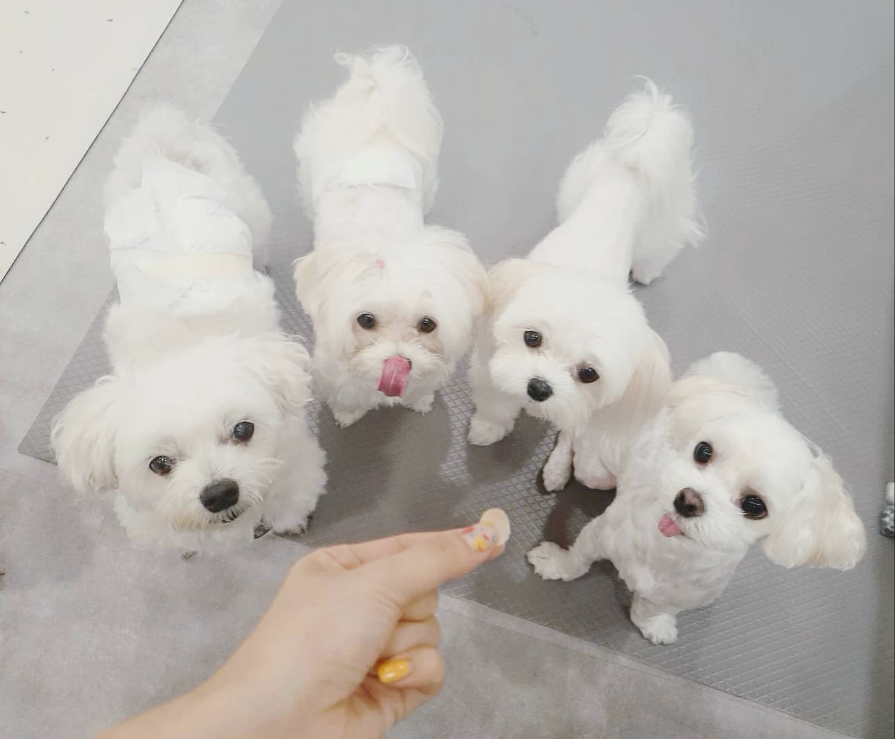 이미지