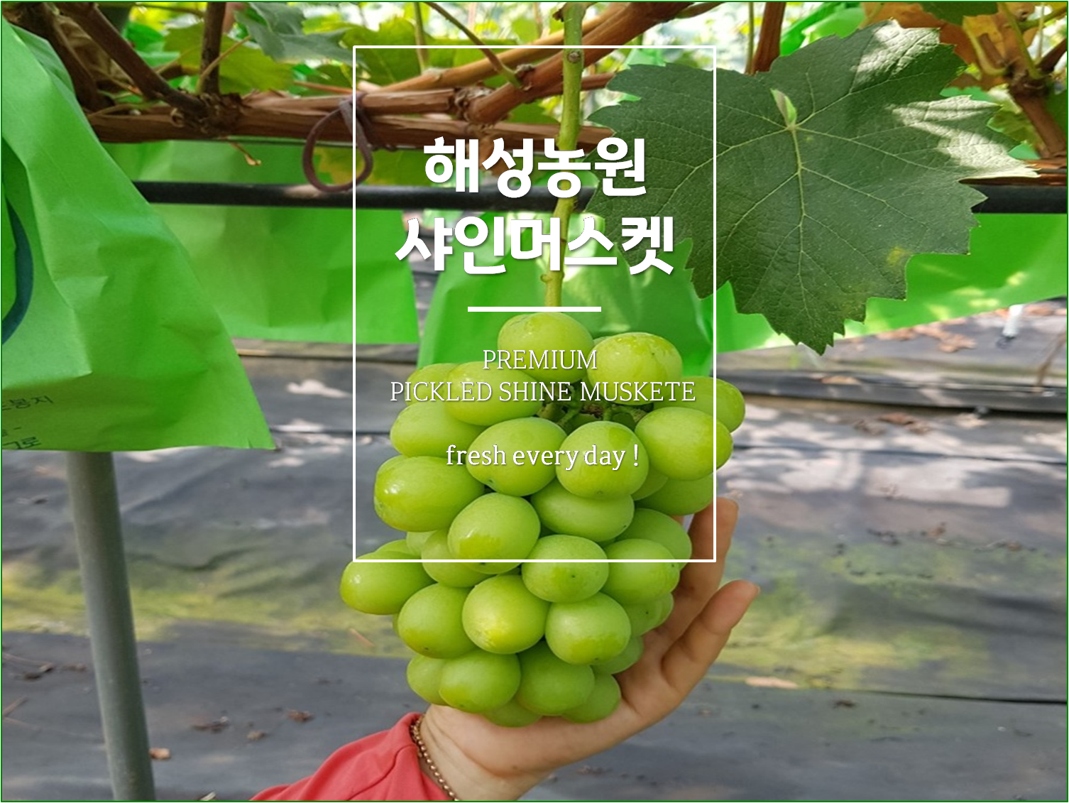 해성농원