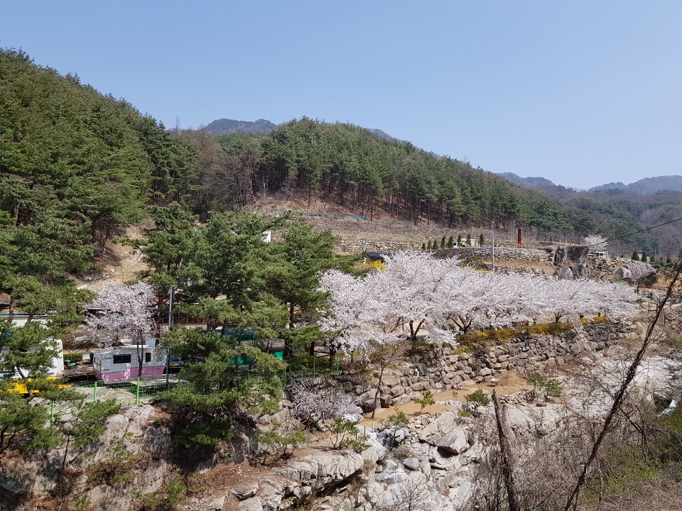 동산계곡펜션오토캠핑장
