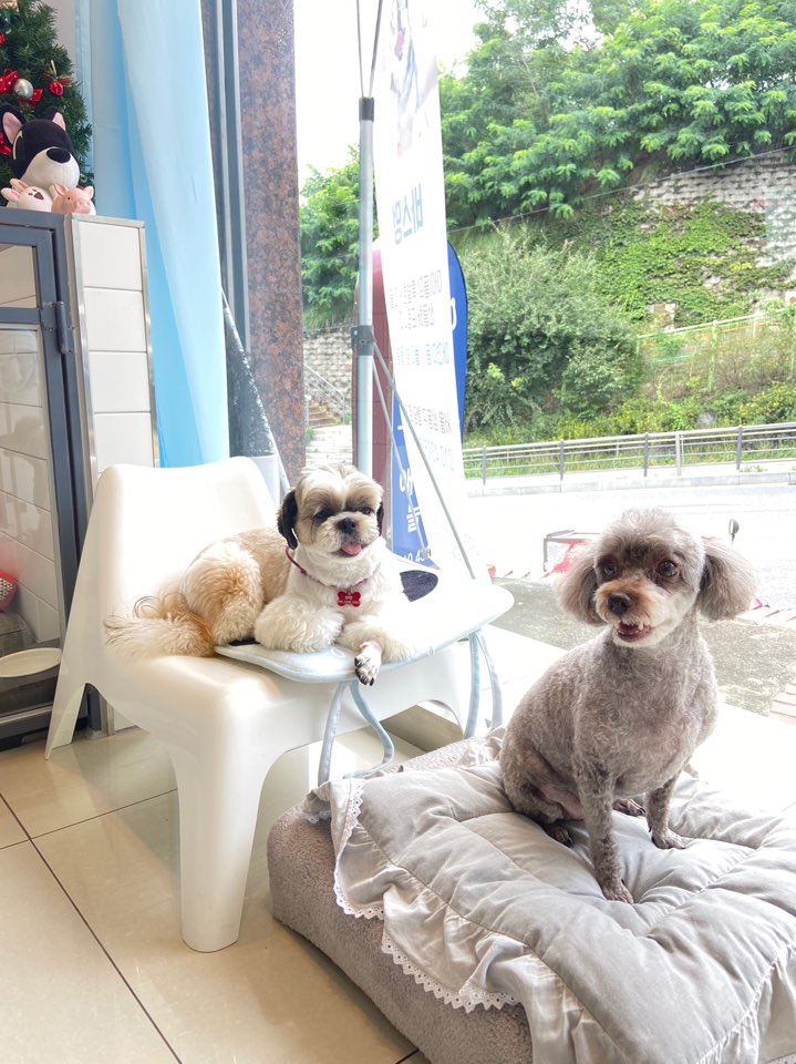 바스멍 대표 이미지