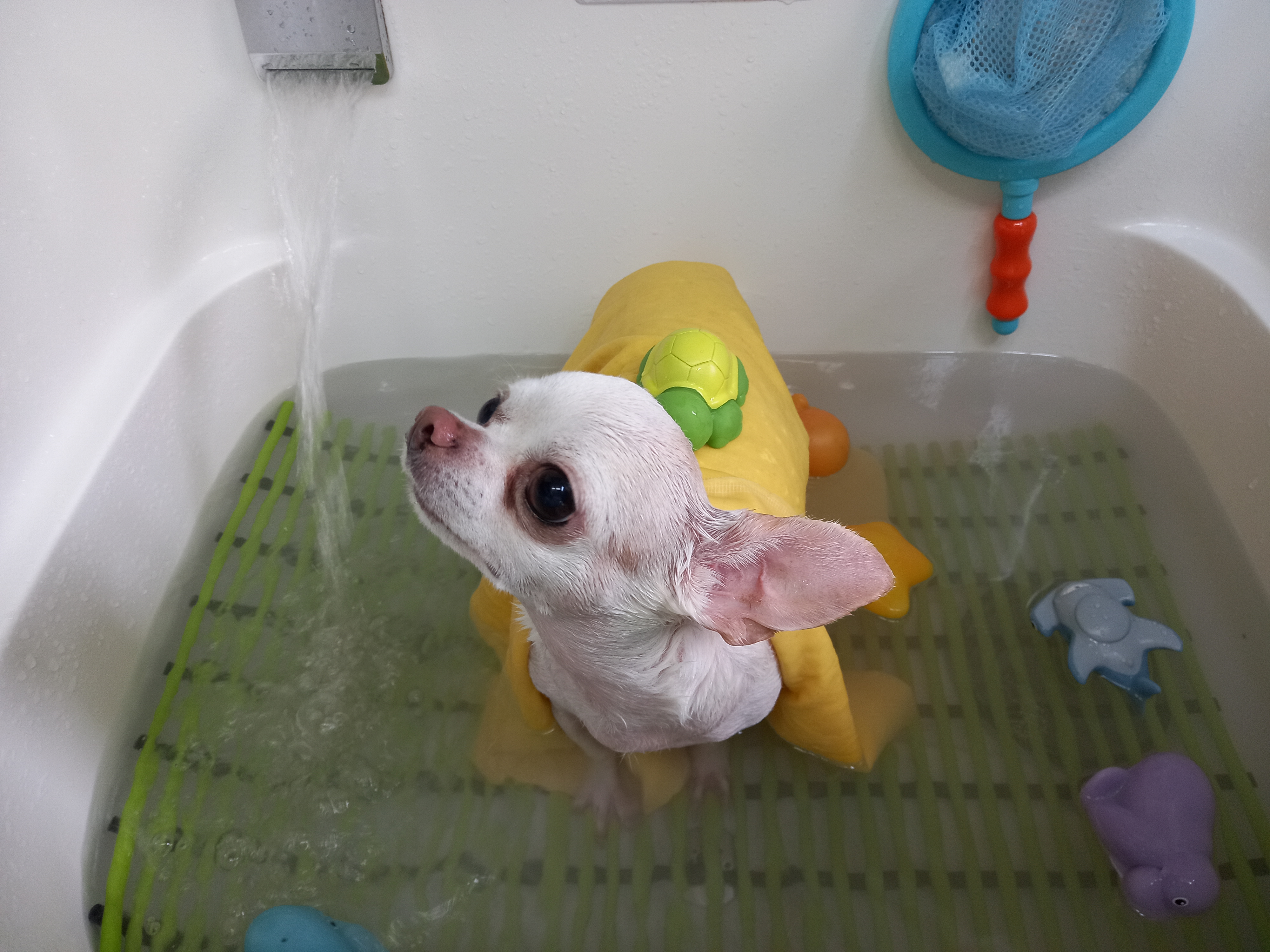 바스멍 대표 이미지