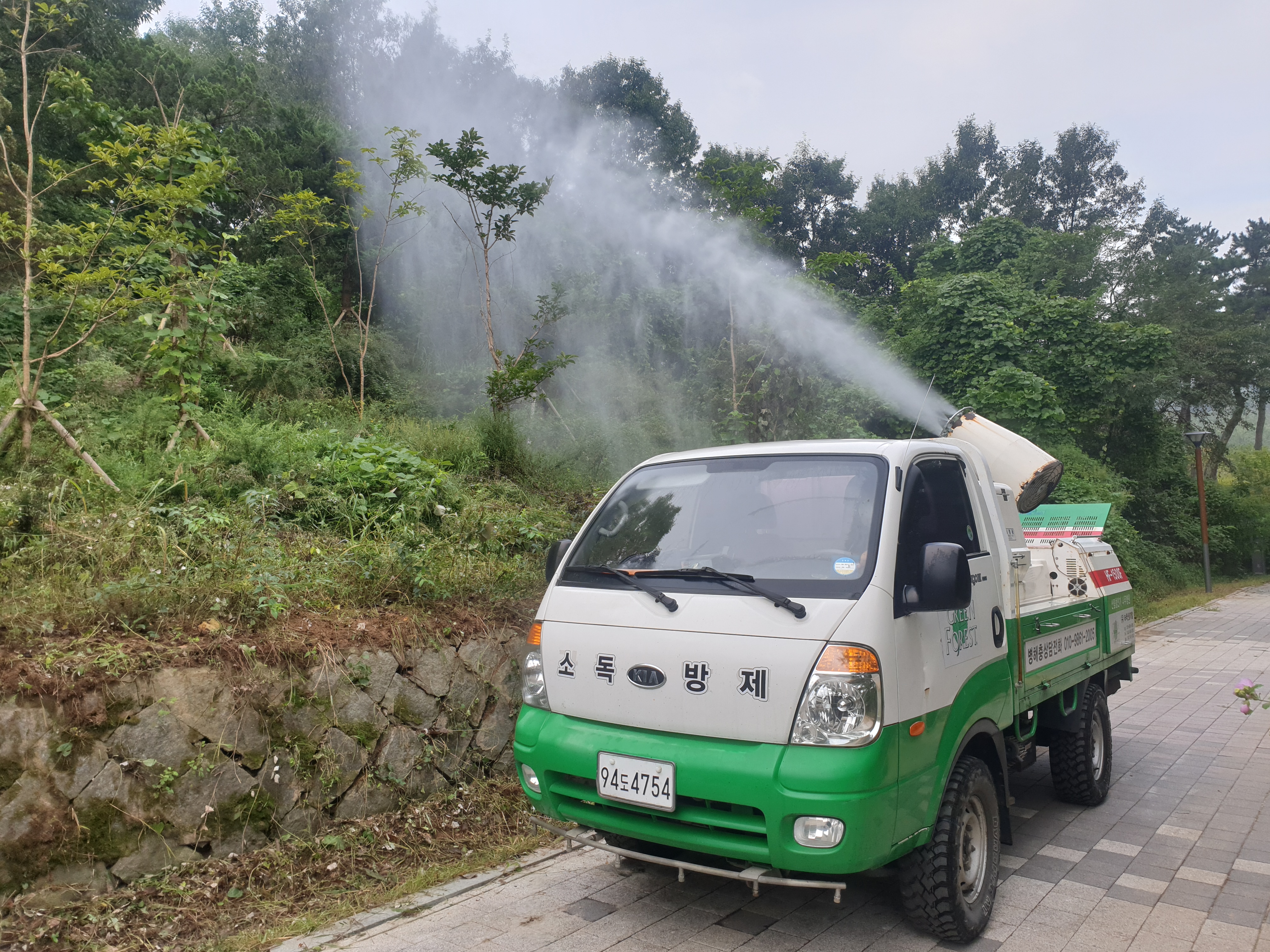 녹색산림개발