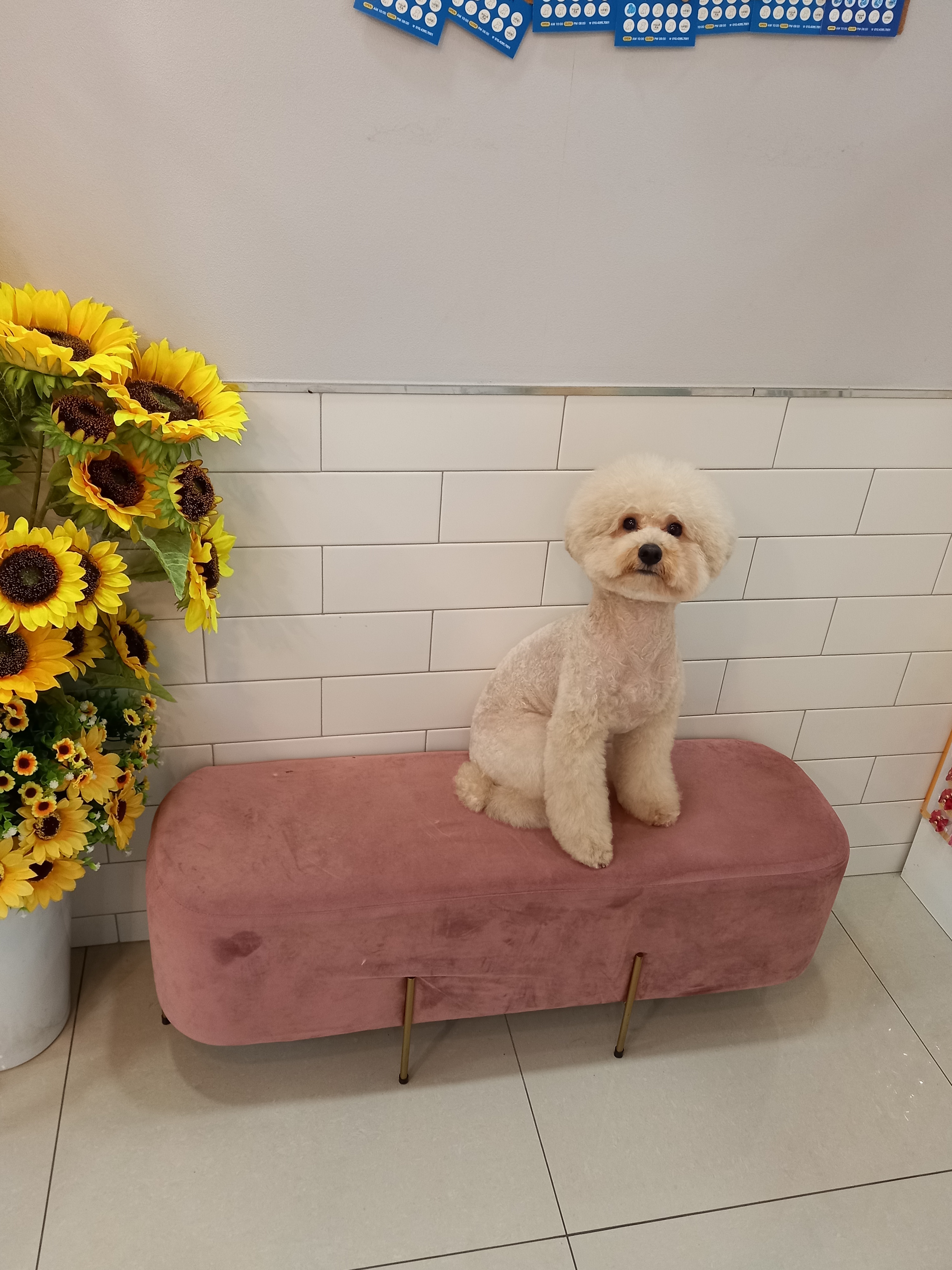 바스멍 대표 이미지