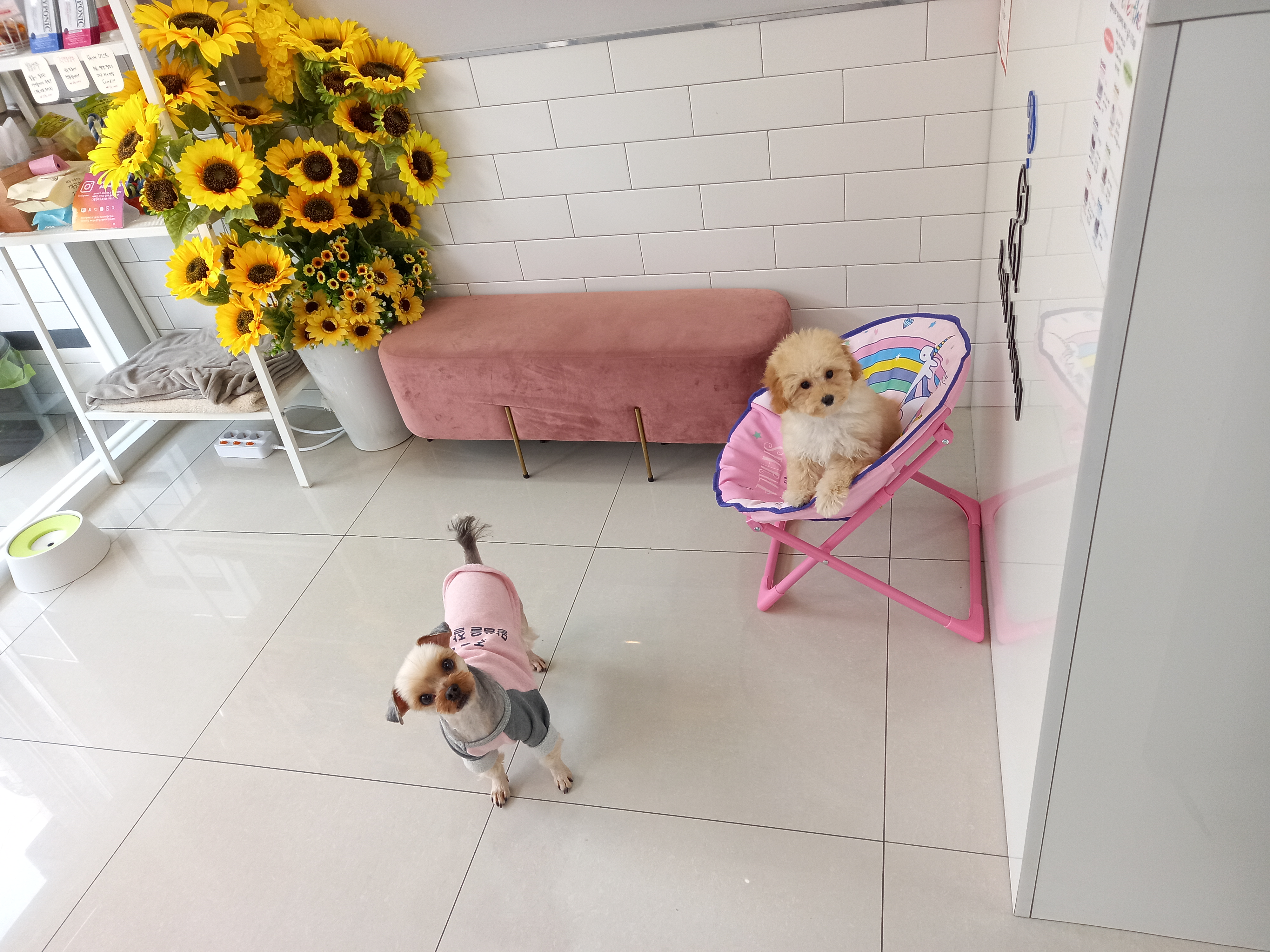 바스멍 대표 이미지