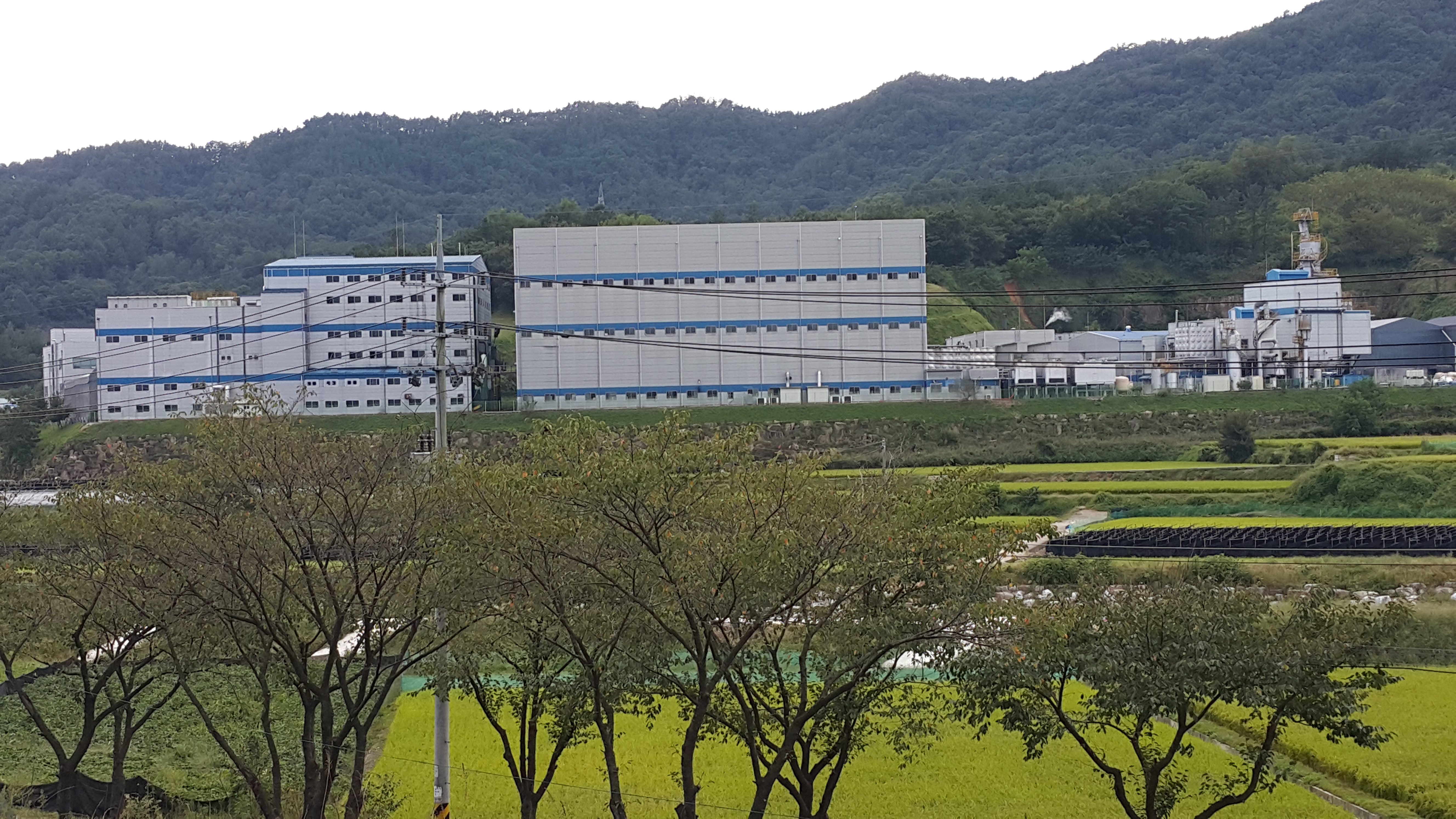 유천에너지