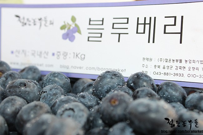 젊은농부들
