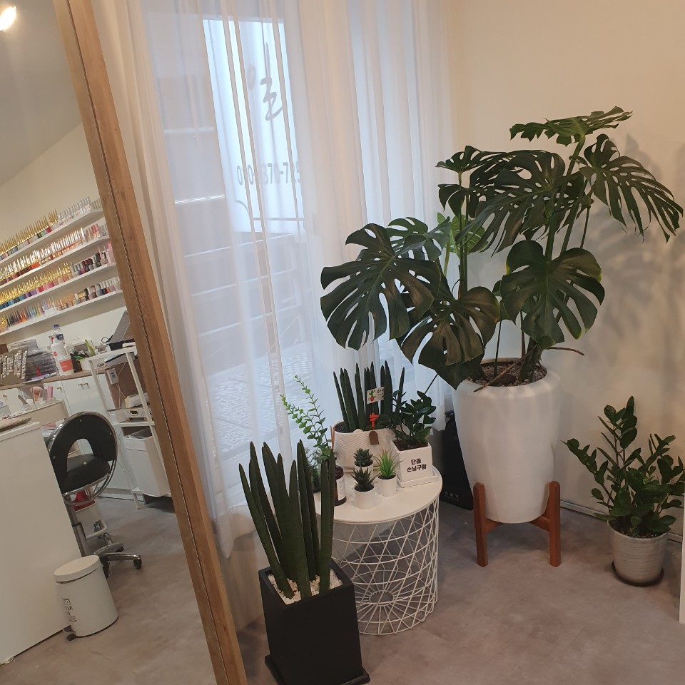 라라네일 대표 이미지