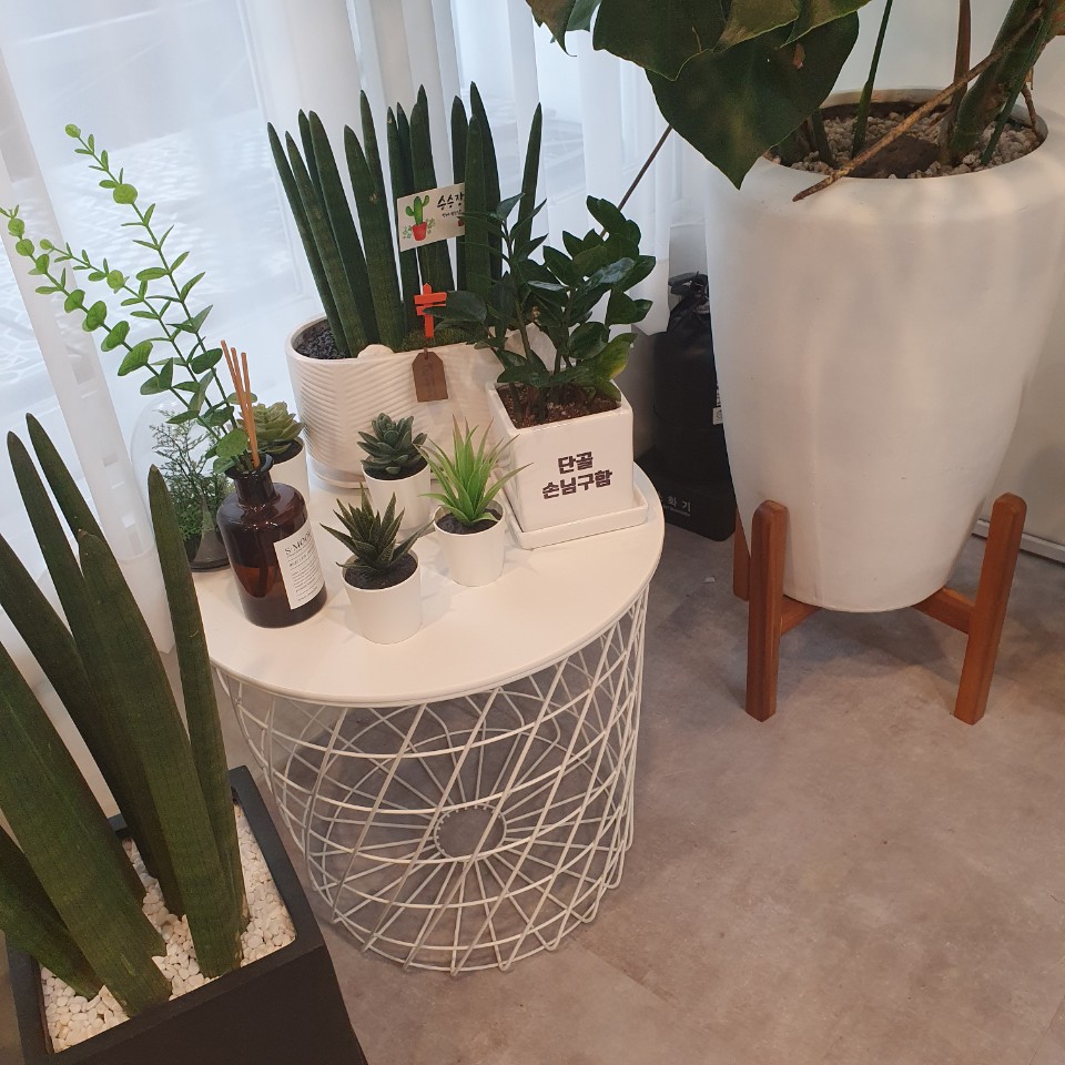 라라네일 대표 이미지