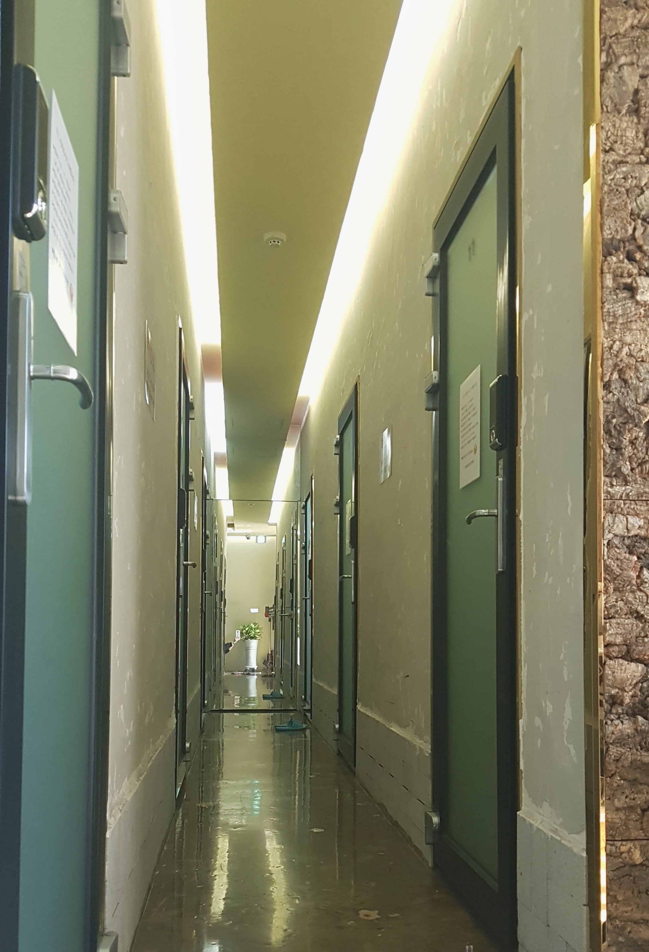 3번째 스튜디오 사진