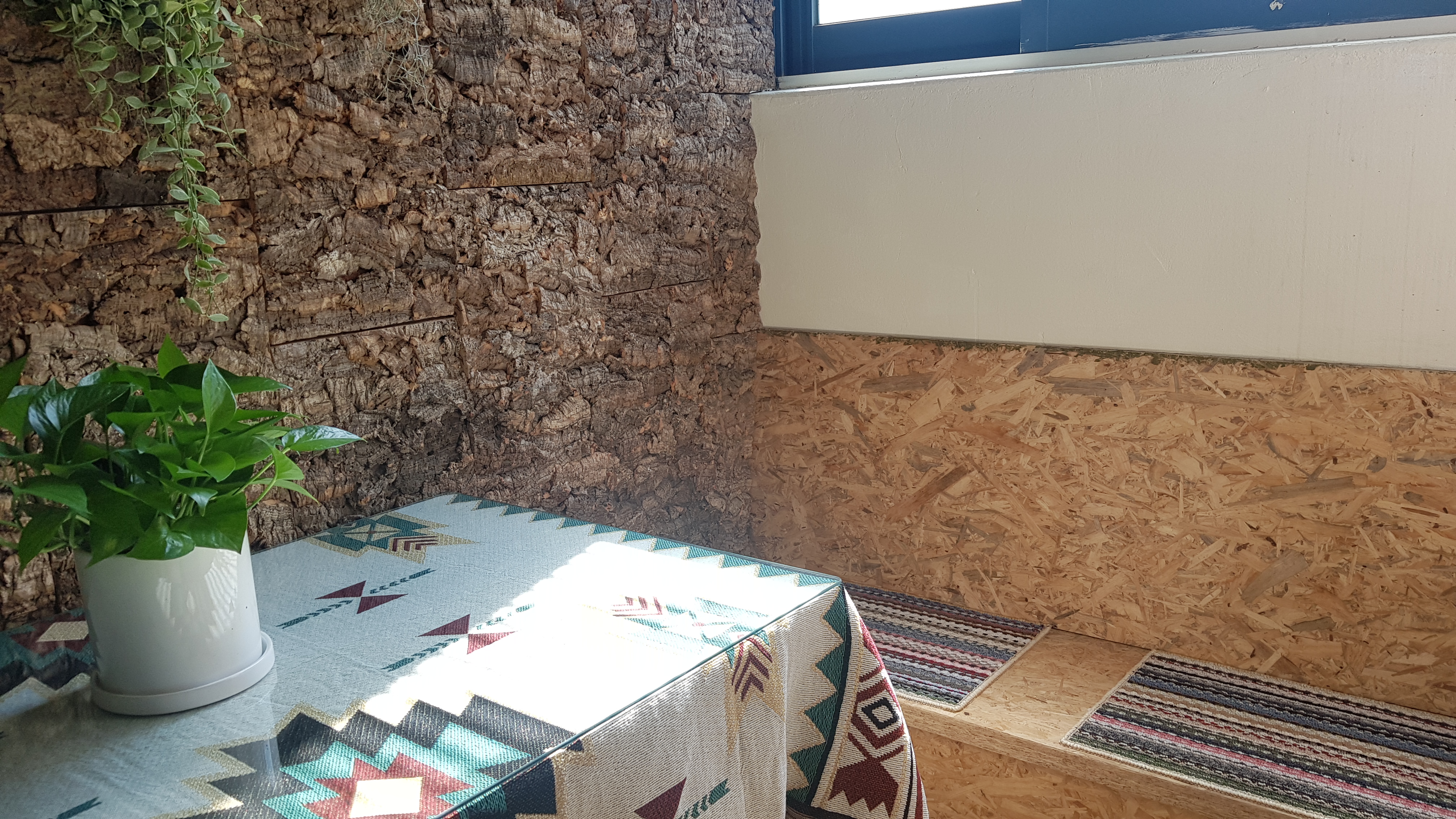 5번째 스튜디오 사진