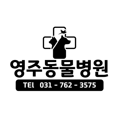 영주동물병원 대표 이미지