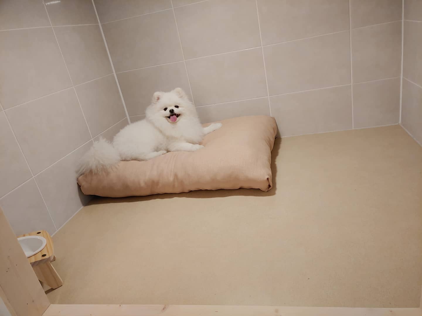 김구백이 대표 이미지