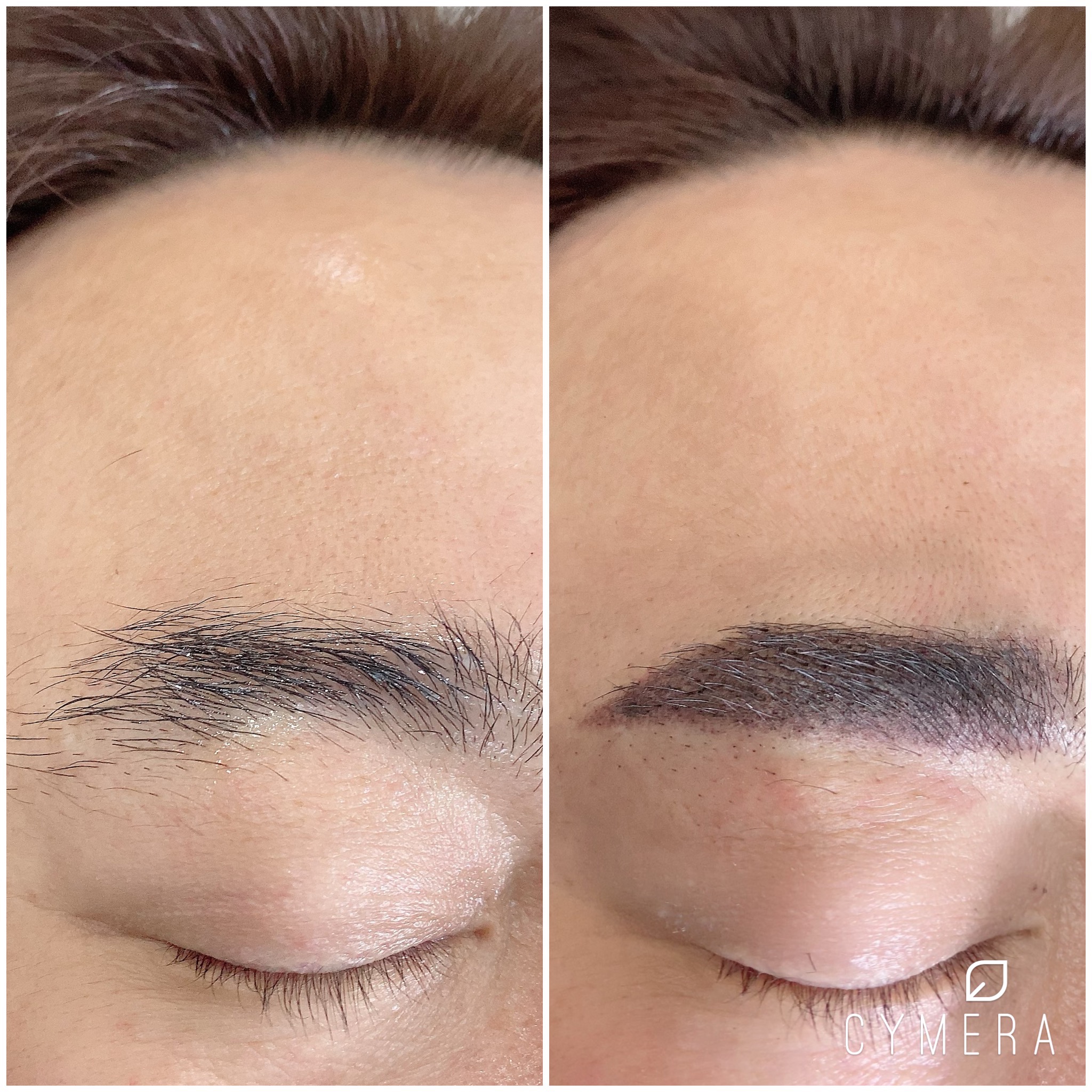 비비라인 대표 이미지