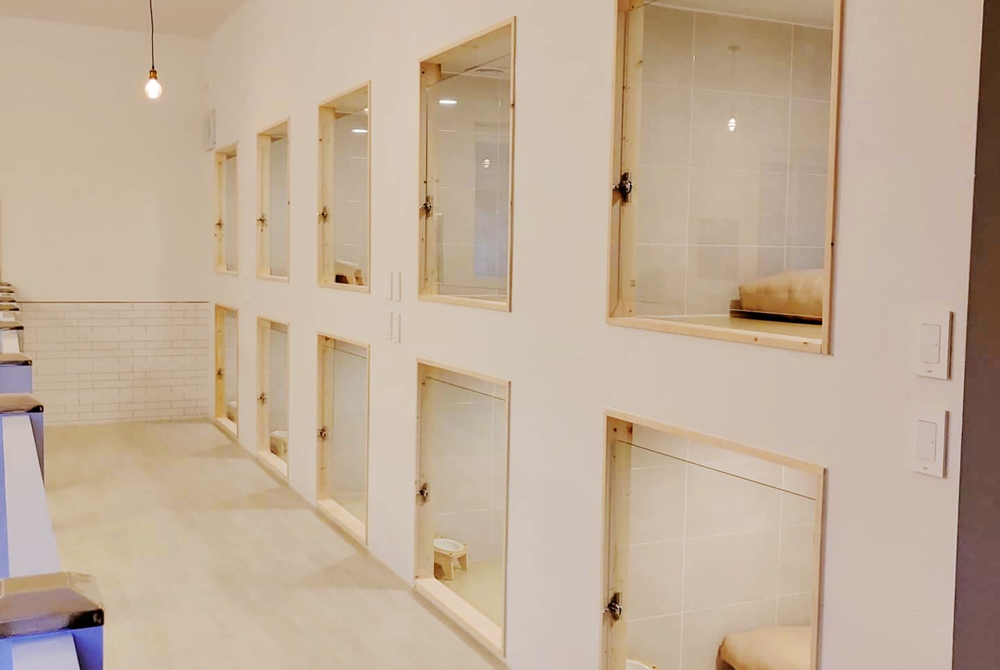 김구백이 애견유치원/호텔 대표 이미지