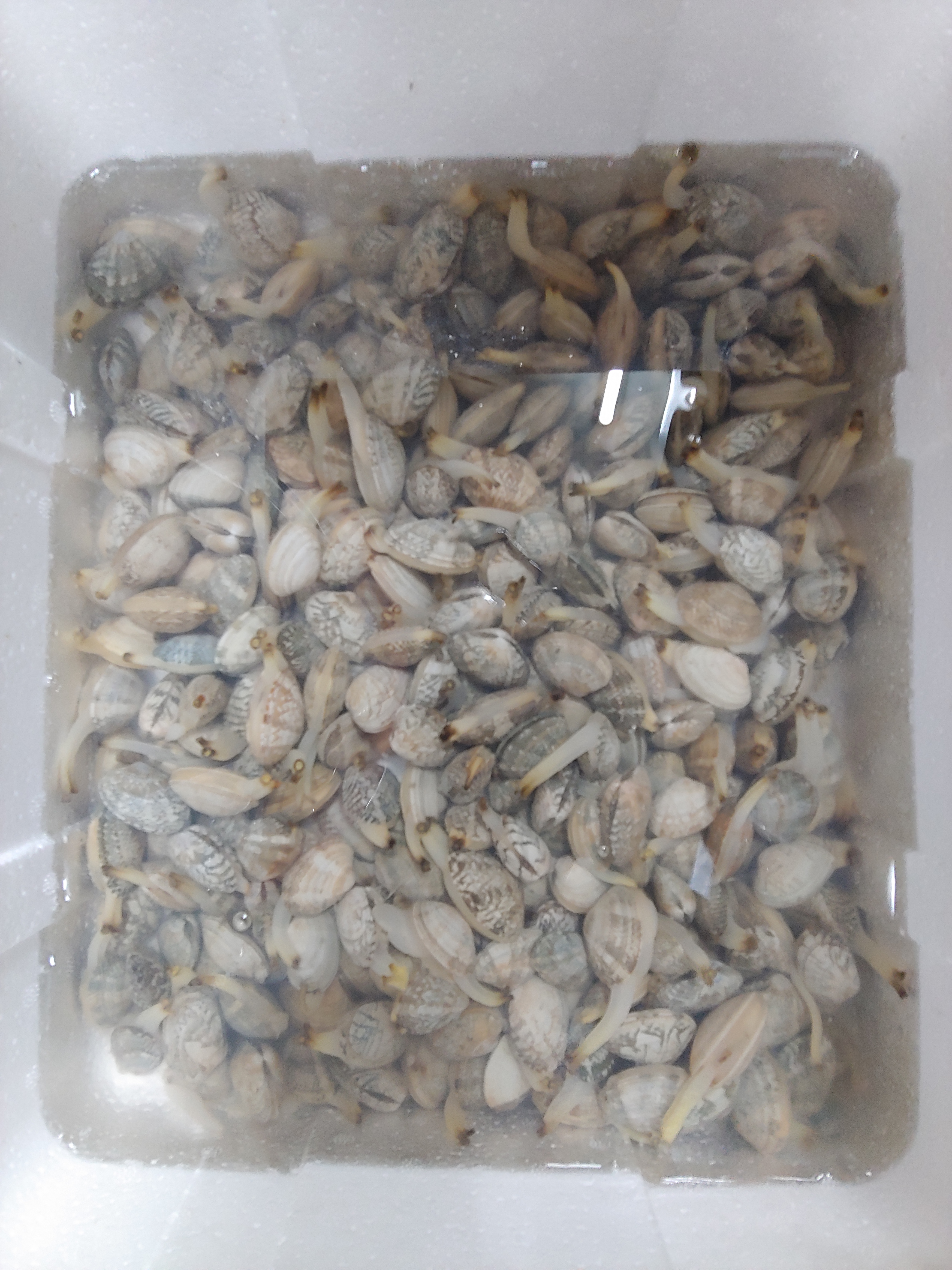 홍칼국수 대표 이미지