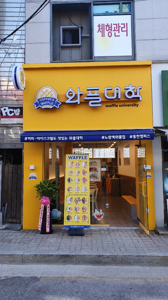 와플대학 홍천캠퍼스