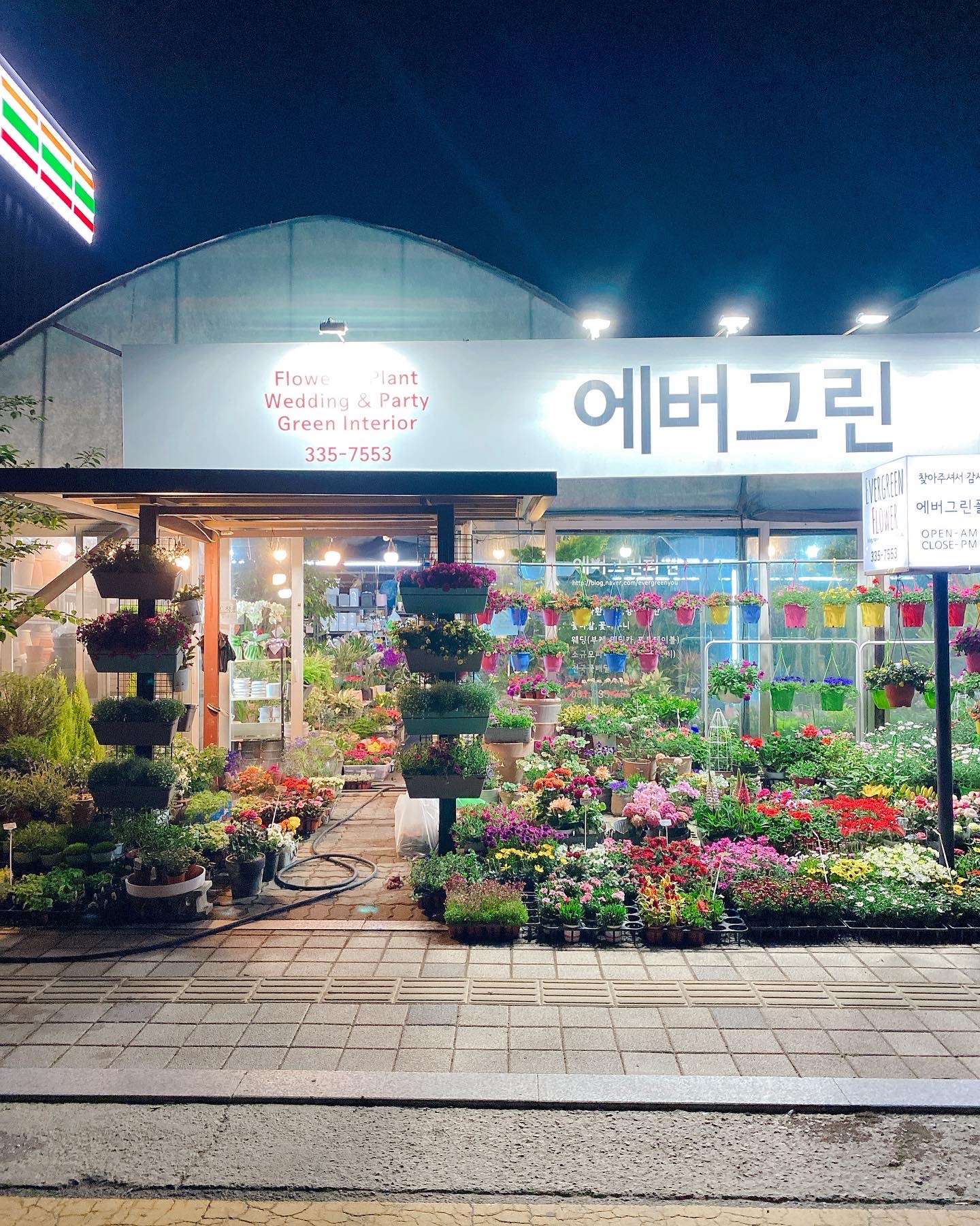 에버그린화원