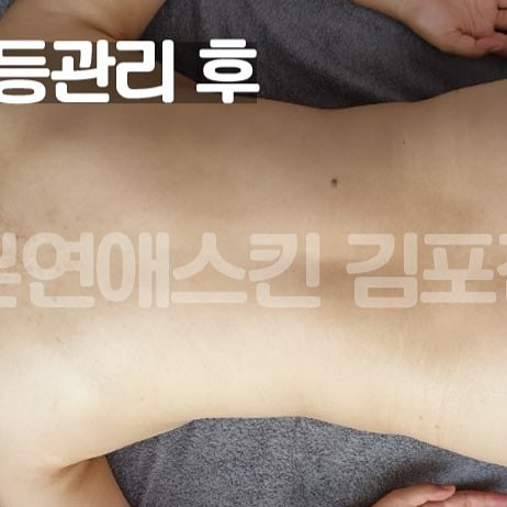 본연애